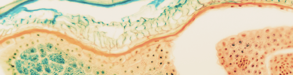 Headerbild der Stellenanzeige Headerbild IBA Lifesciences GmbH